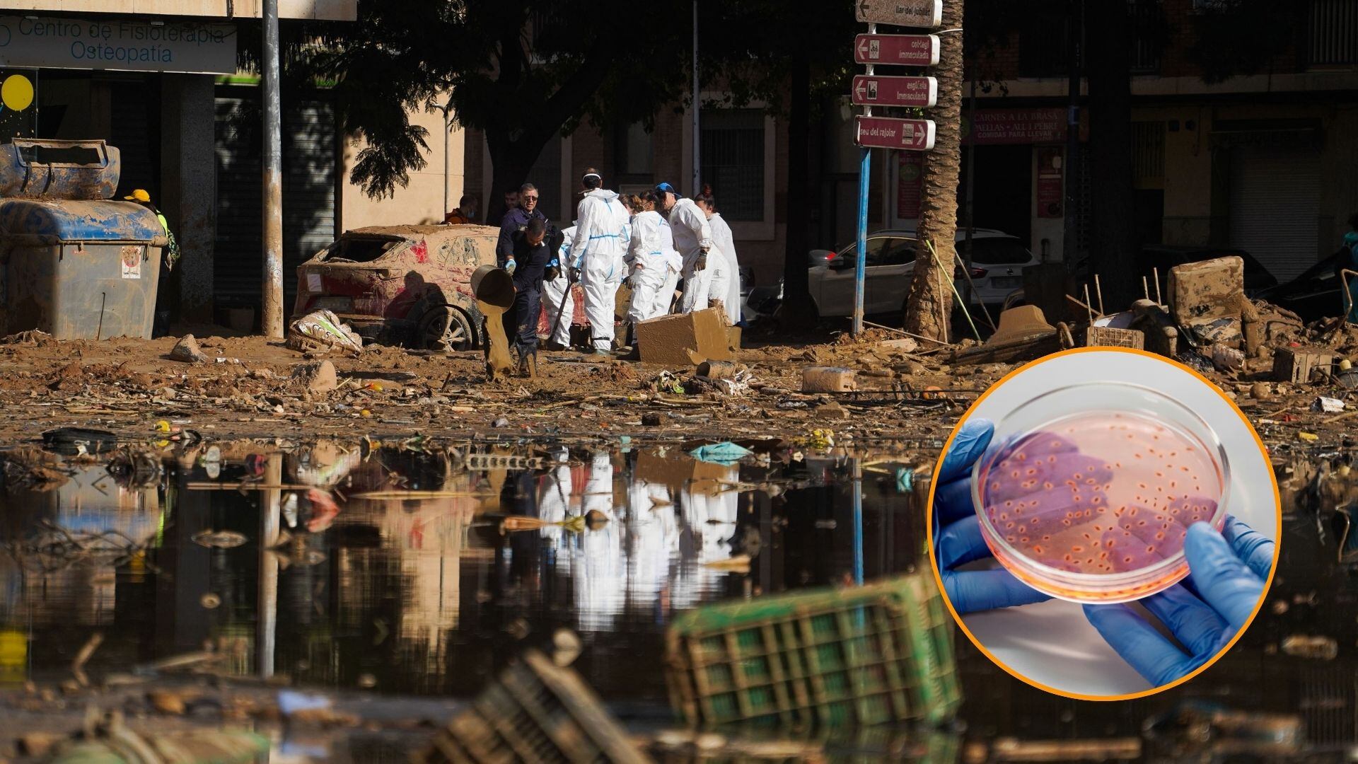 Agentes infecciosos en la zona de la DANA en Valencia. (Europa Press/ Canva)
