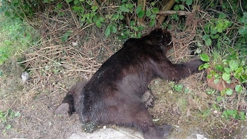 El juzgado de Grado investigará