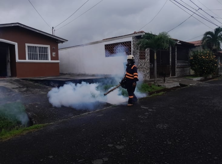 Los insecticidas solo afectan a los ejemplares adultos, recuerdan las autoridades sanitarias. (Minsa)