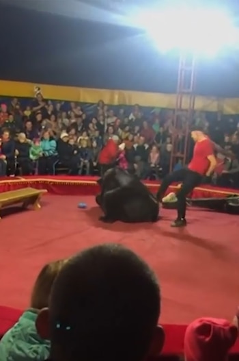 Otros empelados del circo tuvieron