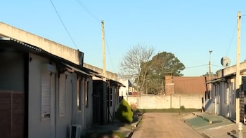 Mató a golpes al gato de su vecina en Uruguay: fue imputado e irá a prisión domiciliaria