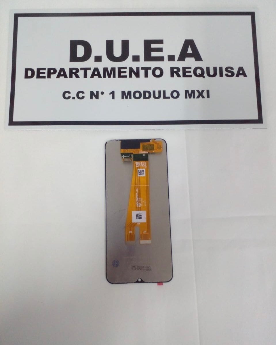 El elemento prohibido fue secuestrado durante un control de ingreso a un módulo de máxima seguridad