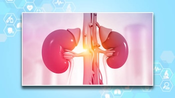 Salud renal. Diseño: (Jesús Tovar