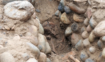 Cráneo humano, huesos y parte de esqueleto en una fosa de tierra rodeada de rocas redondas de diversos tamaños