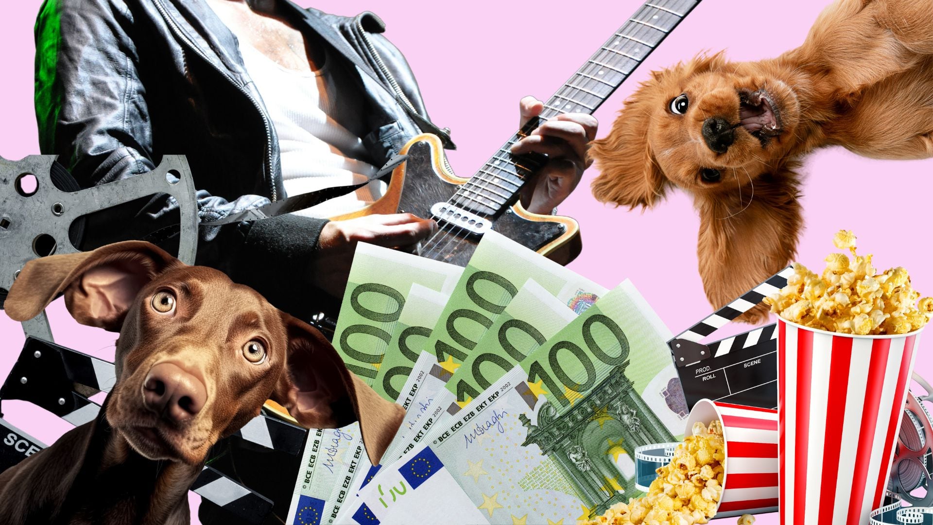 Existen subvenciones de todo tipo: desde para animales de compañía a conciertos o cine. (Montaje Infobae)