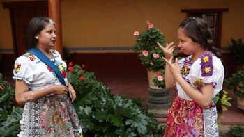 ¡Atención! Estas son las fechas de pago del programa Bienestar para mayo (Lengua de señas mexicana gob.mx/conadis)
