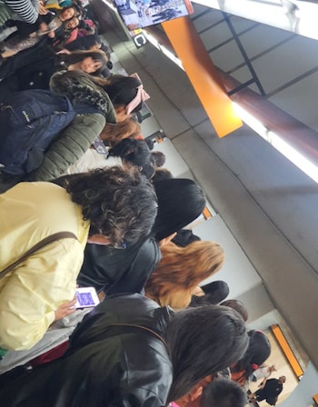 Se concentras grandes aglomeraciones de personas en la Línea 7 del Metro. (X/ @samano_sue)