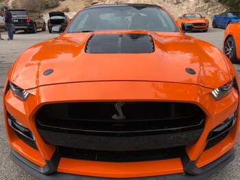 La trompa súper deportiva del