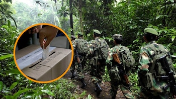 Más de 300 municipios están