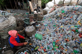 Dos trabajadoras ordenan botellas de