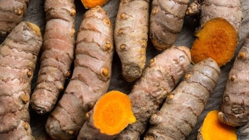 Países Bajos concentró más de