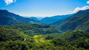 Establecido en 1987, este bosque