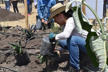 Con 25 especies nativas, el