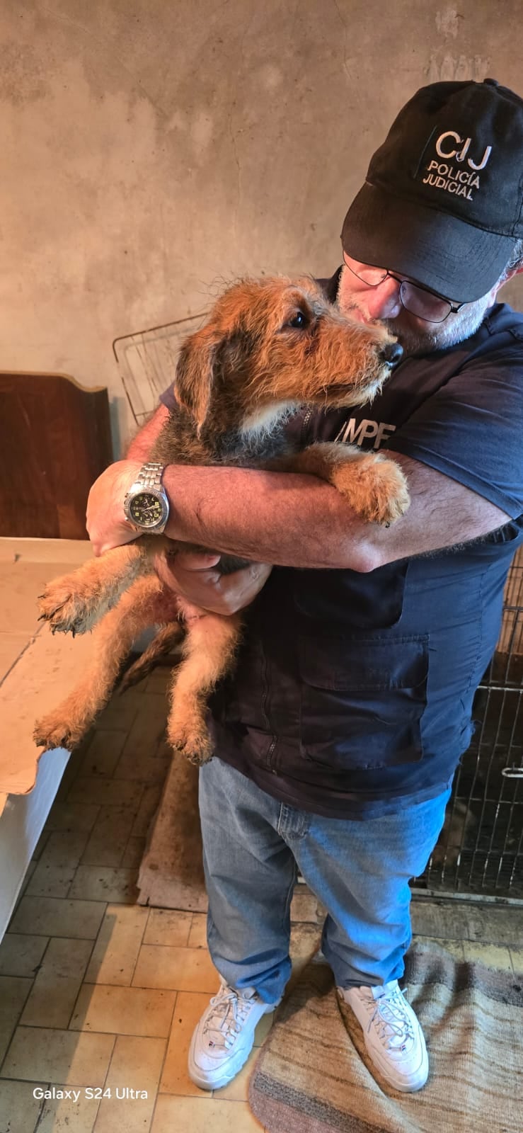 La mayoría de los perros, de gran porte, vivían de a dos en jaulas pequeñas, con agua y alimento insuficientes y entornos insalubres