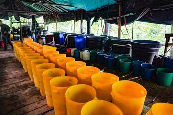 La incautación de miles de