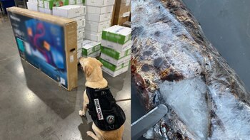 Aseguramiento de pantalla inteligente repleta