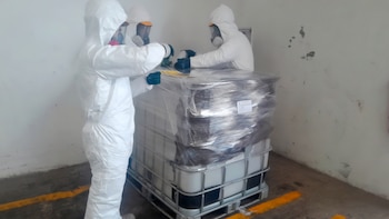 Semarnat y Profepa: así fueron