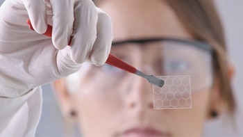 Los 10 descubrimientos científico-médicos de