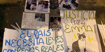 En las cámaras de seguridad de algunas viviendas del sector, se evidenció que el hombre llevaba el cuerpo sin vida la felina y posteriormente lo dejó tirado en el parque del barrio Foto: El Tiempo