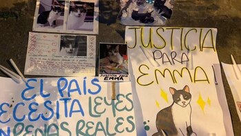 Joven confiesa que mató a