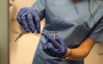 Vista de una vacuna de