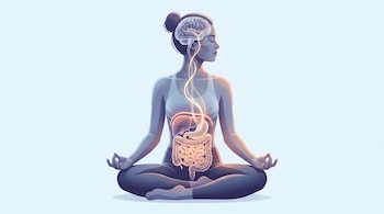 Ilustración de una mujer sentada en posición de yoga con el torso translúcido que muestra el cerebro, el diafragma, el estómago y los intestinos conectados por luz.
