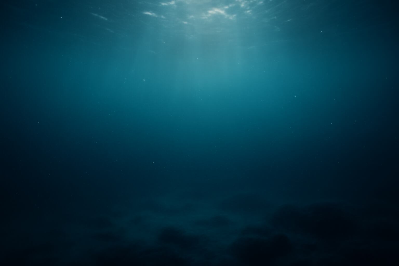 Los científicos subrayan la necesidad de más investigaciones para comprender la adaptación de las islas ante el cambio climático. (Archivo /Imagen Ilustrativa Infobae)