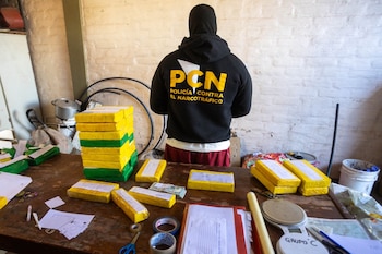 Parte de la droga incautada por la Policía contra el Narcotráfico en el procedimiento realizado en Guaymallén
