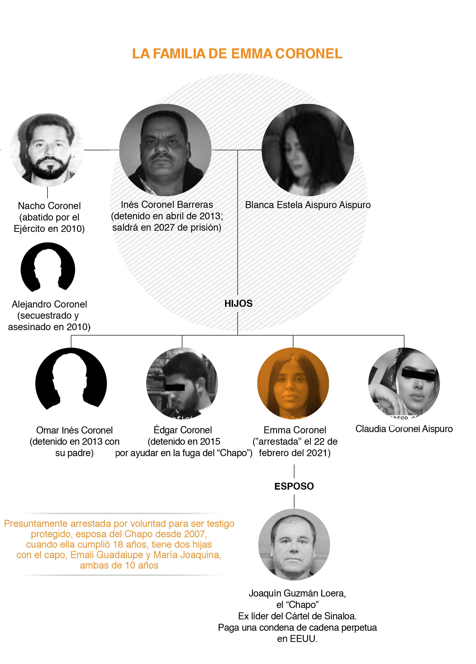 El árbol genealógico de Emma Coronel. (Archivo Infobae)