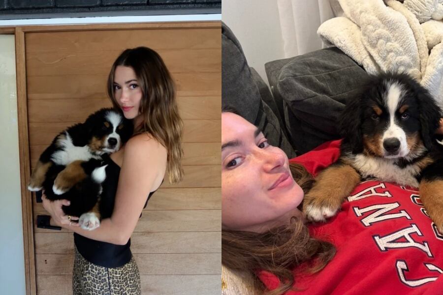 La iniciativa contempla responsabilidades civiles contra refugios y centros de rescate que ejecuten sacrificios ilegales de animales (Instagram: @madeleinecwhite).