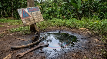 Charco de líquido oscuro iridiscente en tierra, manguera, llave inglesa y señal de advertencia en área con vegetación.
