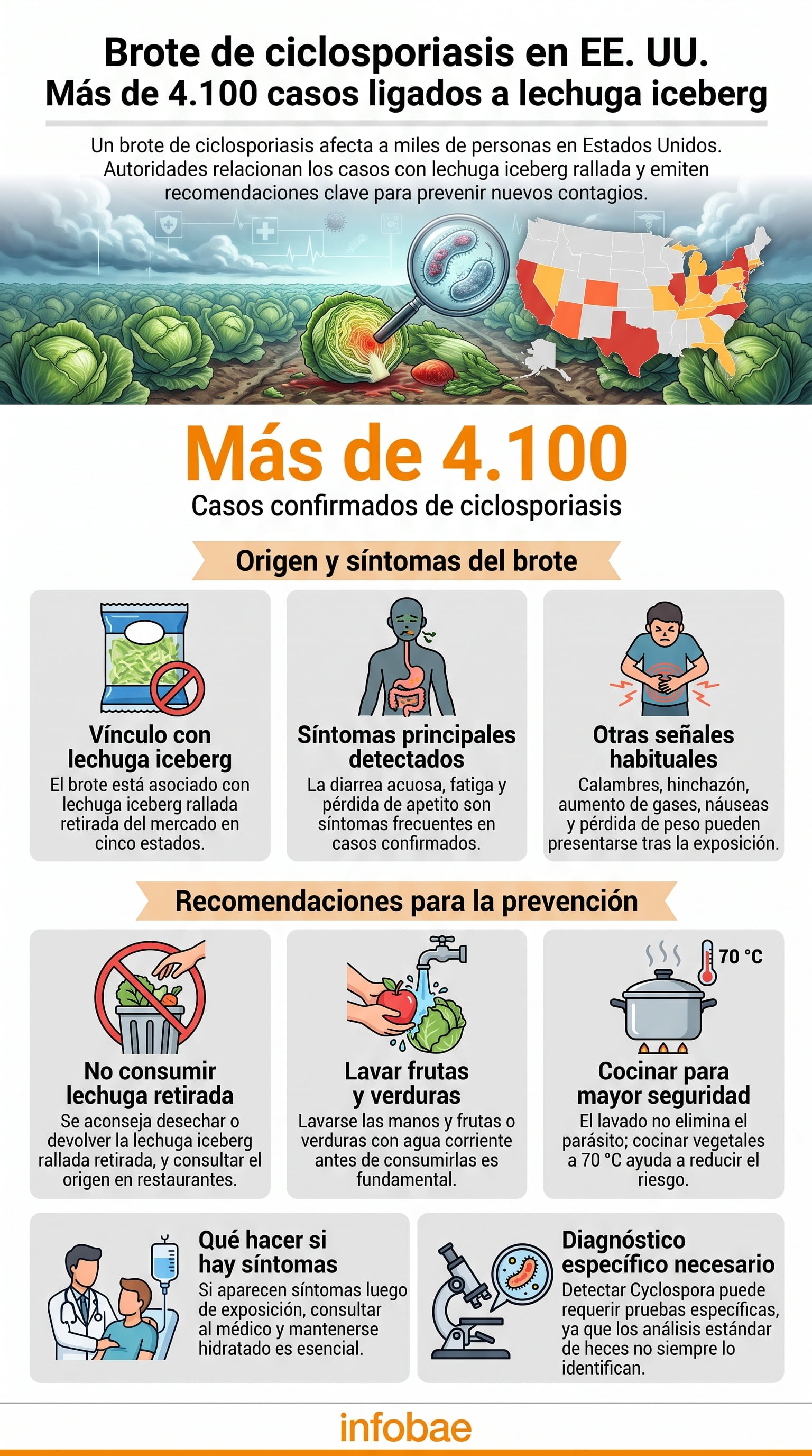 Una infografía detalla el brote de ciclosporiasis con más de 4.100 casos en Estados Unidos, vinculado a lechuga iceberg, mostrando síntomas y medidas de prevención. (Imagen Ilustrativa Infobae)