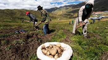 Midagri lanzó tercera convocatoria para