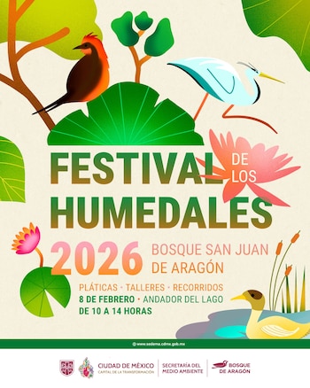 Entre las actividades del festival