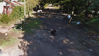 Rescataron a una mujer de un violento ataque por parte de su pareja en La Plata