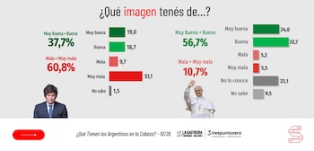 La consideración sobre Milei y el Papa