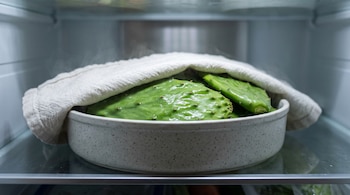 Nopales verdes dentro de un cuenco cerámico cubiertos por una toalla clara sobre la repisa de un refrigerador.