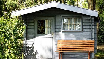 Cómo son y cuánto valen