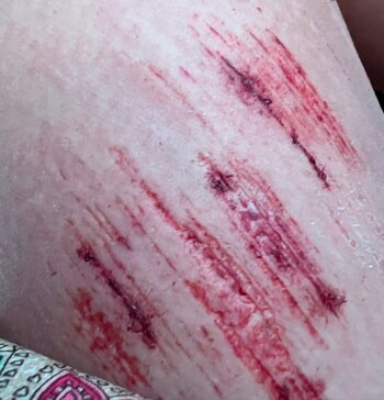 La China mostró el primer