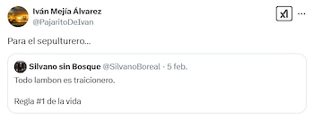 Iván Mejía calificó de "lambón"