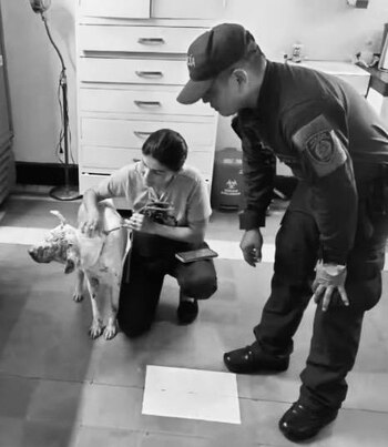 Las autoridades rechazaron contundentemente este