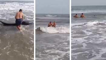 Una cría de ballena quedó encallada en Tasajera, Magdalena, activando un operativo de rescate en el corredor marino del Caribe colombiano - crédito @ColombiaOscura/X