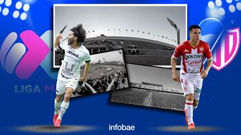 Los Pumas recibirán a unos