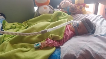 Familia de Gael Puentes busca