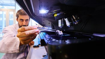 En la imagen se observa