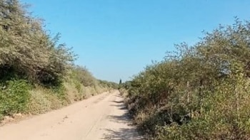 Santiago del Estero: un joven denunció que su sobrino lo golpeó, amenazó y dejó atado a un árbol por cinco horas