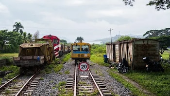 Anuncian avance decisivo del Tren