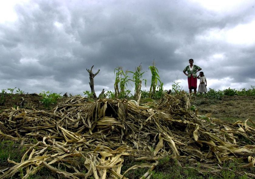 La sequía ha afectado cultivos y disponibilidad de agua en diferentes regiones de Honduras. (FOTO: El Libertador)