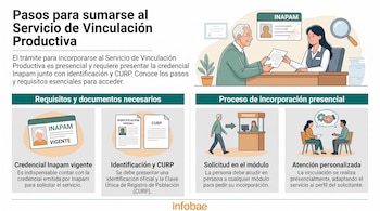 Infografía con ilustraciones de personas, una credencial INAPAM, un documento de identificación oficial y un documento CURP para trámites.