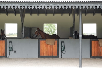 CLUB POLO LA HACHE DECO